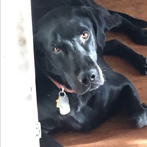 Meet your Posher, Grayson